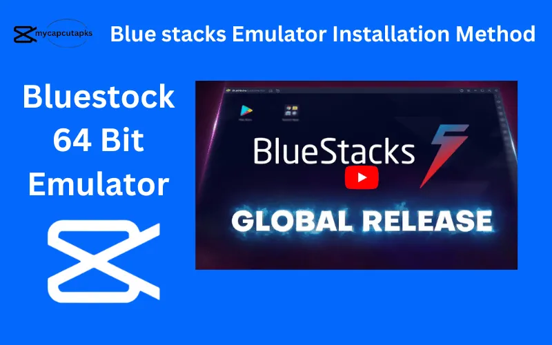 Blue stacks Emulator Installation Method