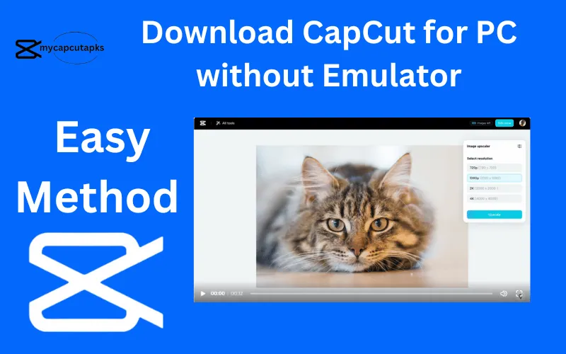 Download CapCut for PC without Emulator