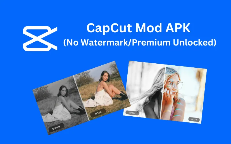 what is CapCut Mod APK