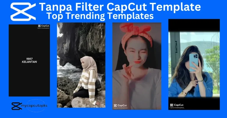 Tanpa Filter CapCut Template