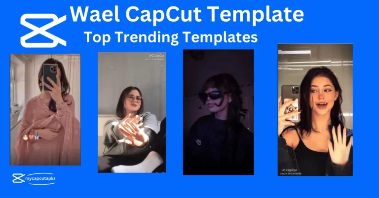 Wael CapCut Template